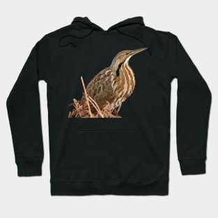 Lentiginous Bittern Hoodie